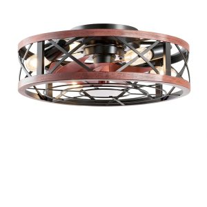 AQUBT Caged Ceiling Fan with Light Remote App Control-0