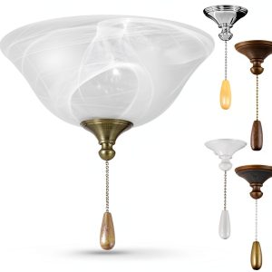 Progress Lighting Ceiling Fan Light Kit Steel-0