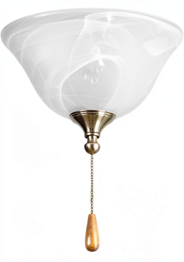 Progress Lighting Ceiling Fan Light Kit Steel-5